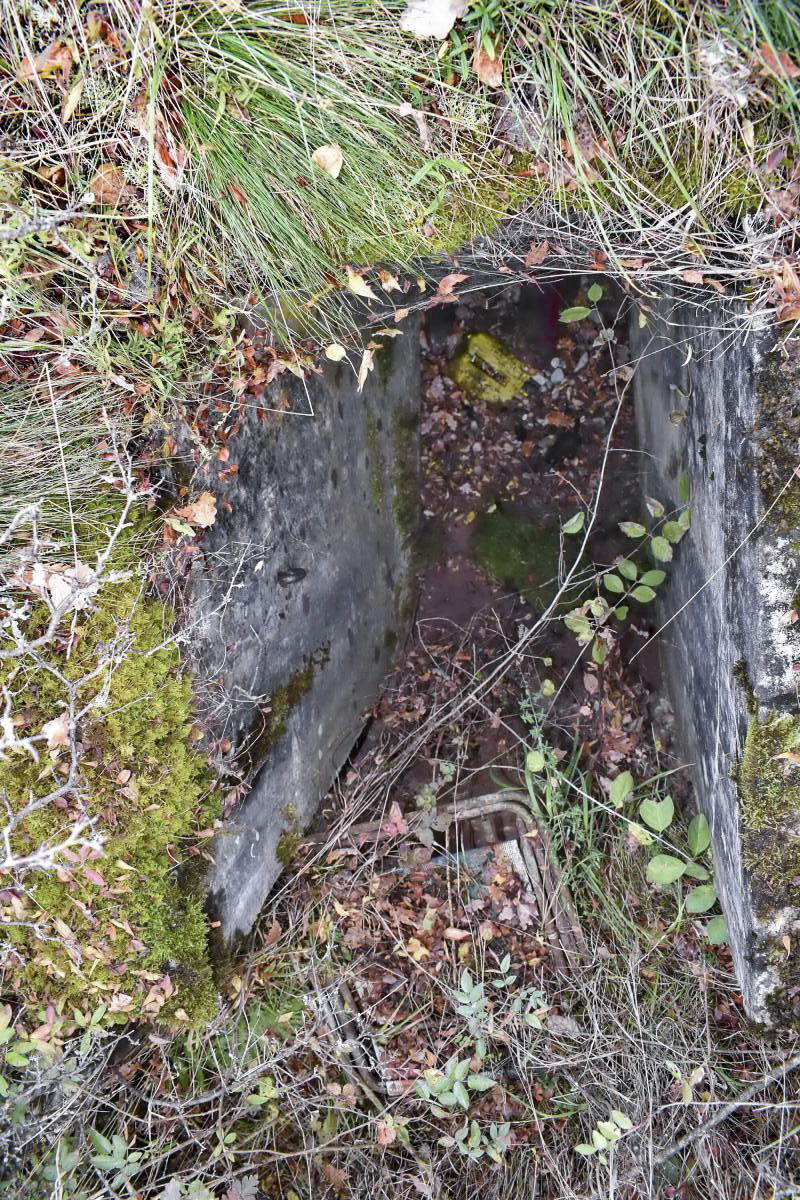 Ligne Maginot - BOIS DE DESSENHEIM SUD 4 - (Blockhaus pour arme infanterie) - L'entrée partiellement comblée