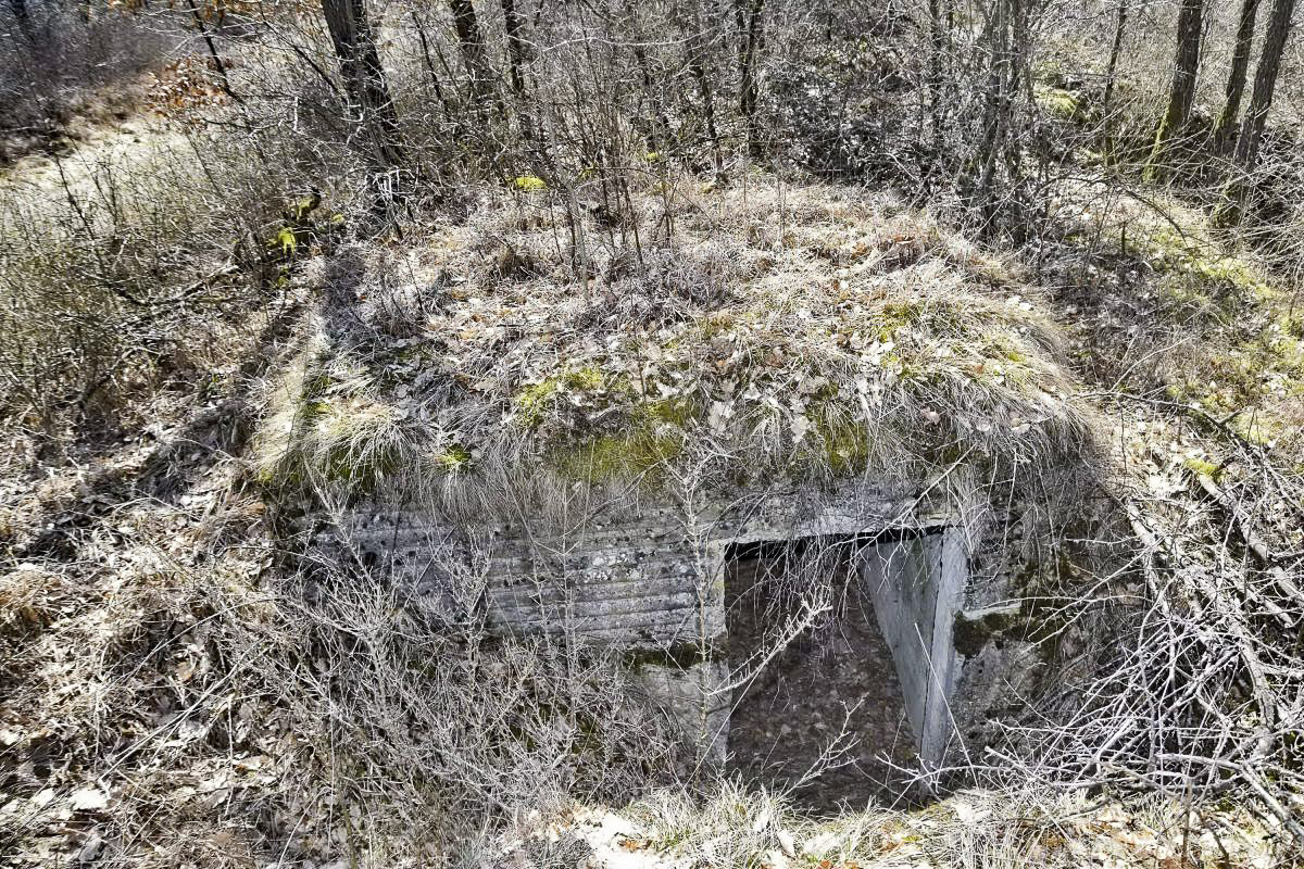 Ligne Maginot - BOIS DE DESSENHEIM SUD 9 - (Poste de Secours) - Vue de l'abri 'A'