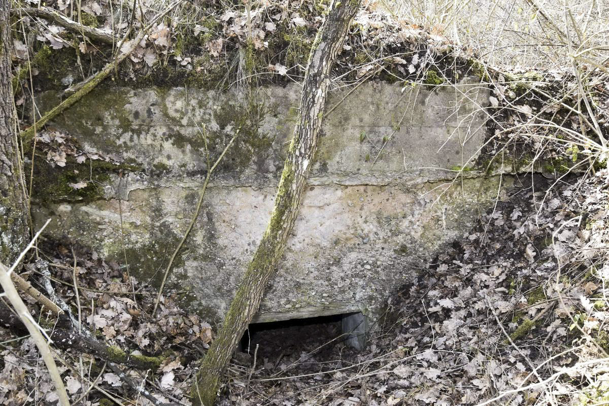 Ligne Maginot - BOIS DE DESSENHEIM SUD 9 - (Poste de Secours) - Abri 'C' - L’entrée sud