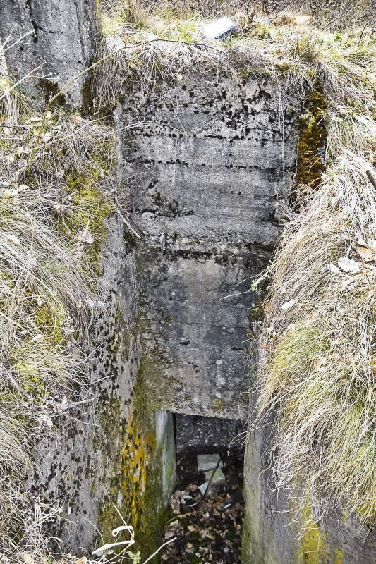 Ligne Maginot - BOIS DE DESSENHEIM SUD 9 - (Poste de Secours) - Abri 'D' - L'entrée nord