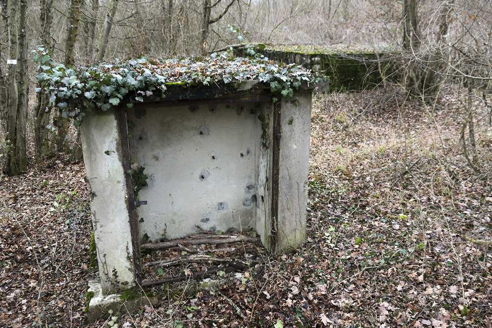Ligne Maginot - BORNE DE L'OBERWALD - (Chambre de coupure) - La chambre de coupure et l'abri à proximité