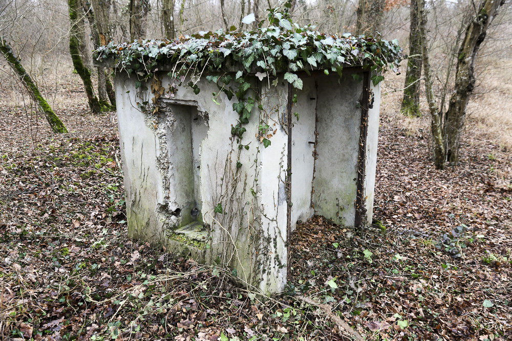Ligne Maginot - BORNE DE L'OBERWALD - (Chambre de coupure) - 