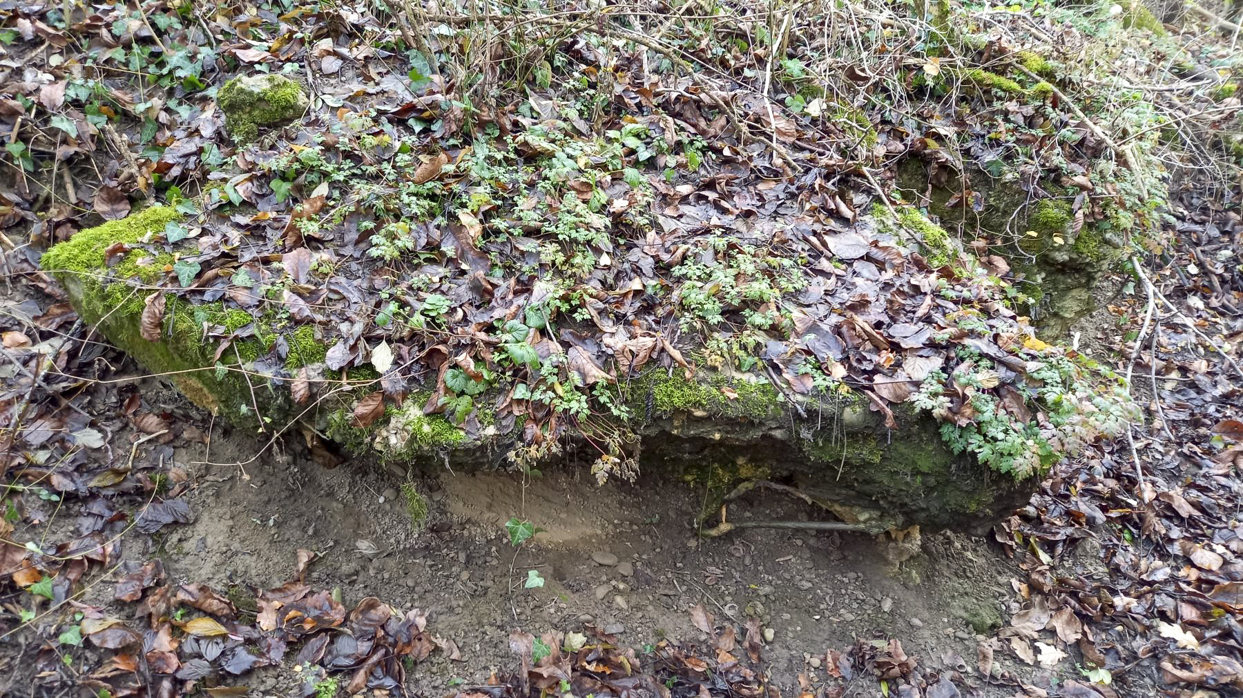 Ligne Maginot - NAMBSHEIM EST 1 - (Blockhaus de type indéterminé) - 