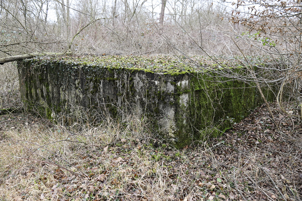 Ligne Maginot - OBERWALD - (Abri) - L'abri à pièce unique