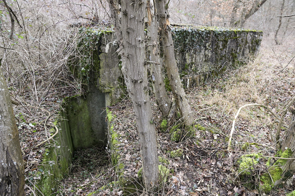 Ligne Maginot - OBERWALD - (Abri) - Entrée