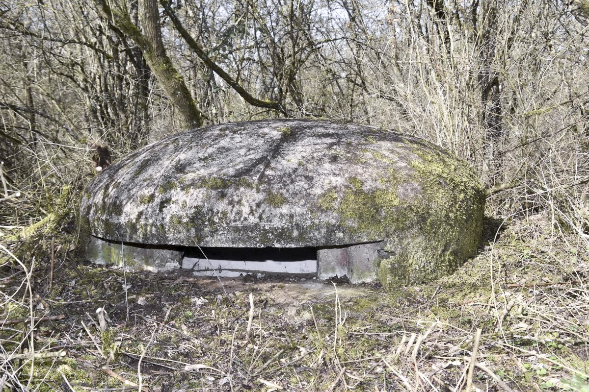 Ligne Maginot - OBERWALD EST 2 - (Blockhaus de type indéterminé) - La coupole et son créneau orienté vers l'est