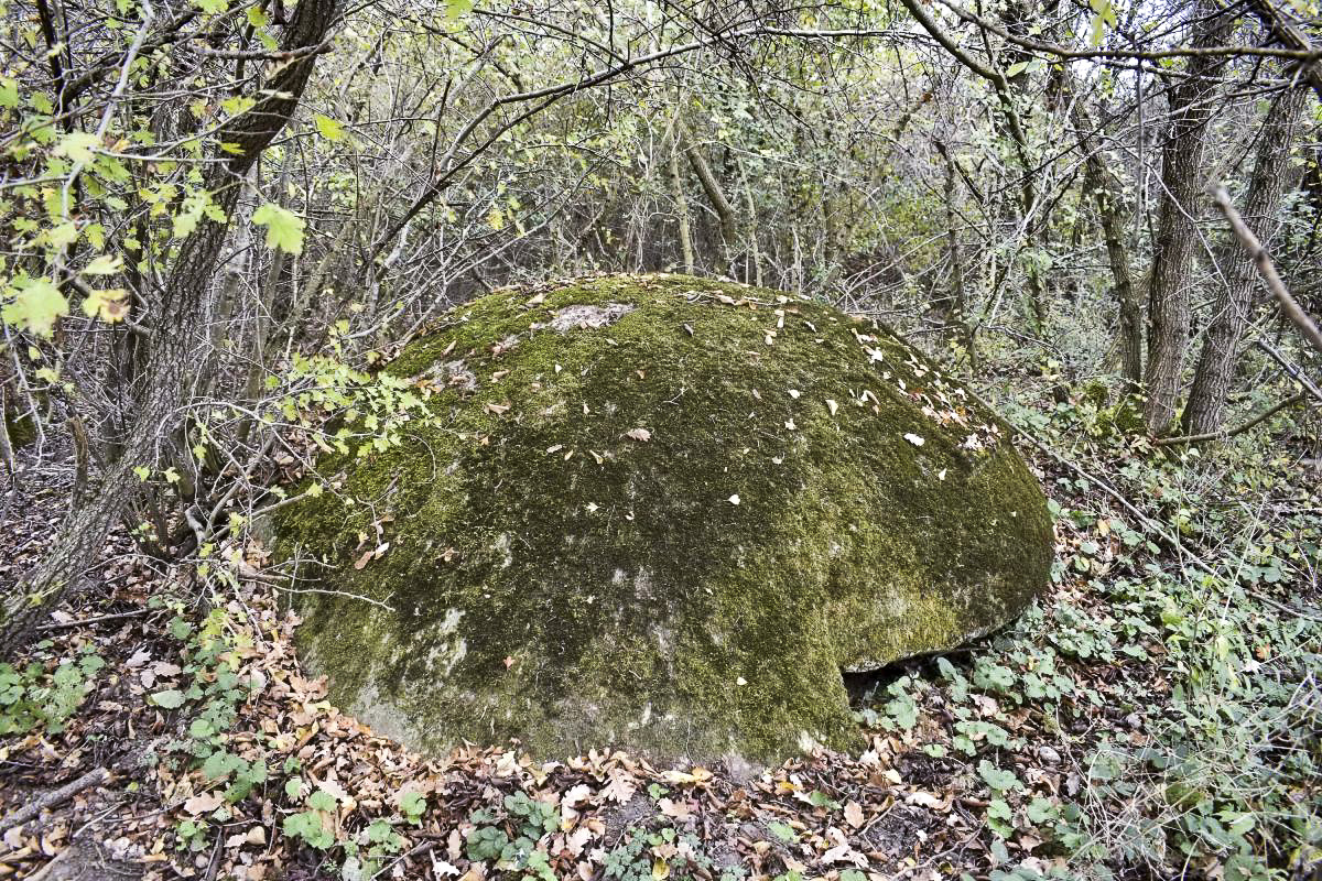 Ligne Maginot - OBERWALD SUD OUEST 1 - (Blockhaus pour arme infanterie) - Coupole