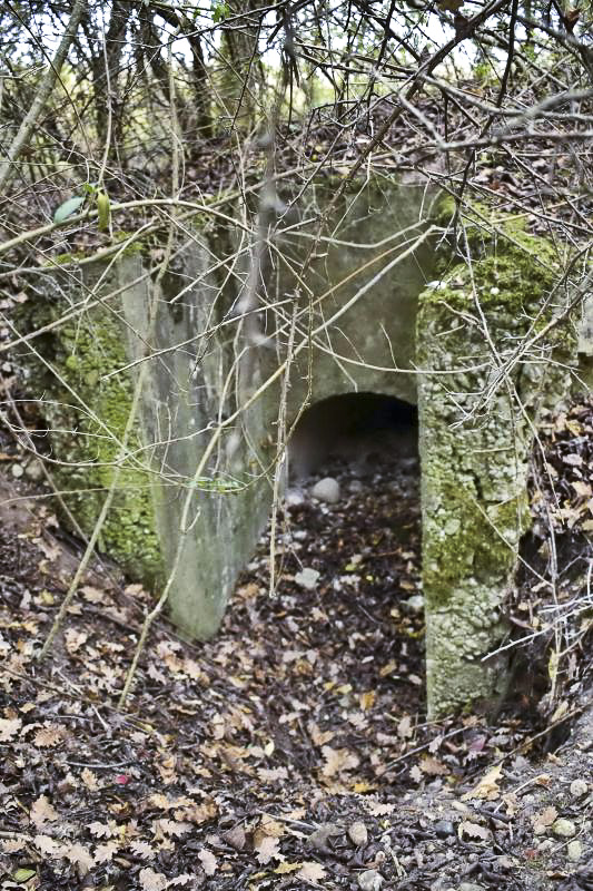 Ligne Maginot - OBERWALD SUD OUEST 1 - (Blockhaus pour arme infanterie) - Entrée