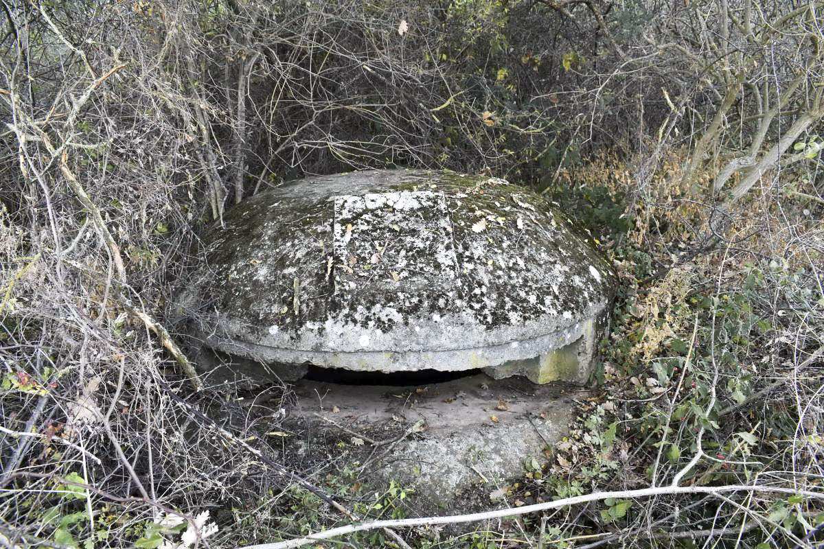 Ligne Maginot - OBERWALD SUD OUEST 2 - (Blockhaus pour arme infanterie) - Coupole