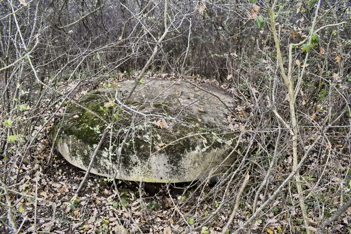 Ligne Maginot - OBERWALD SUD OUEST 3 - (Blockhaus pour arme infanterie) - Coupole