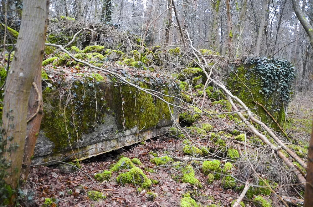 Ligne Maginot - CARREFOUR 218 EST - (Blockhaus pour canon) - Façade sud, avec l'entrée matériel