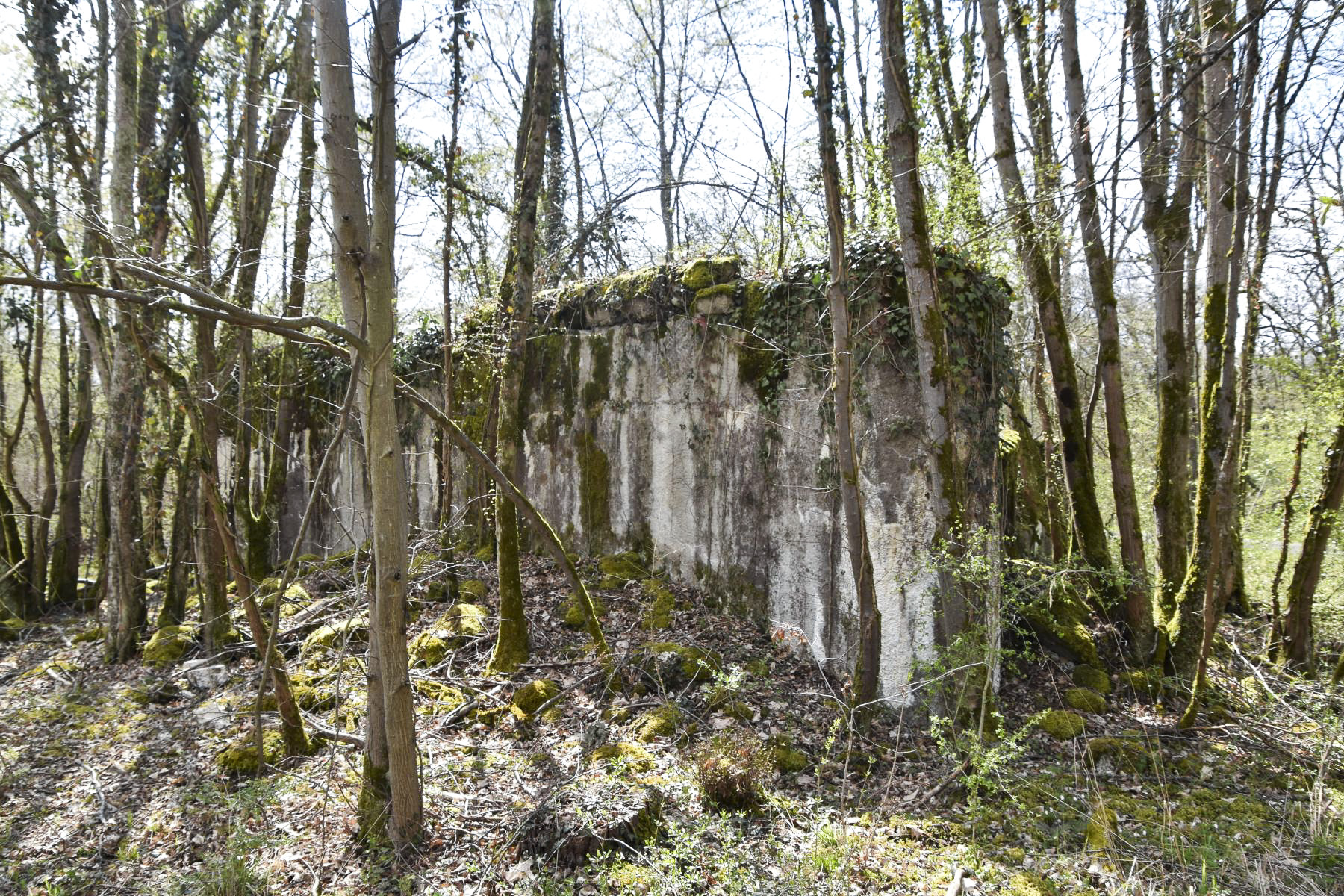 Ligne Maginot - CARREFOUR 218 EST - (Blockhaus pour canon) - Façade Est