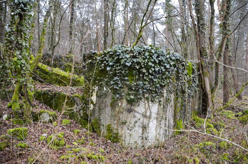 Ligne Maginot - CARREFOUR 218 EST - (Blockhaus pour canon) - Façade Ouest et Nord