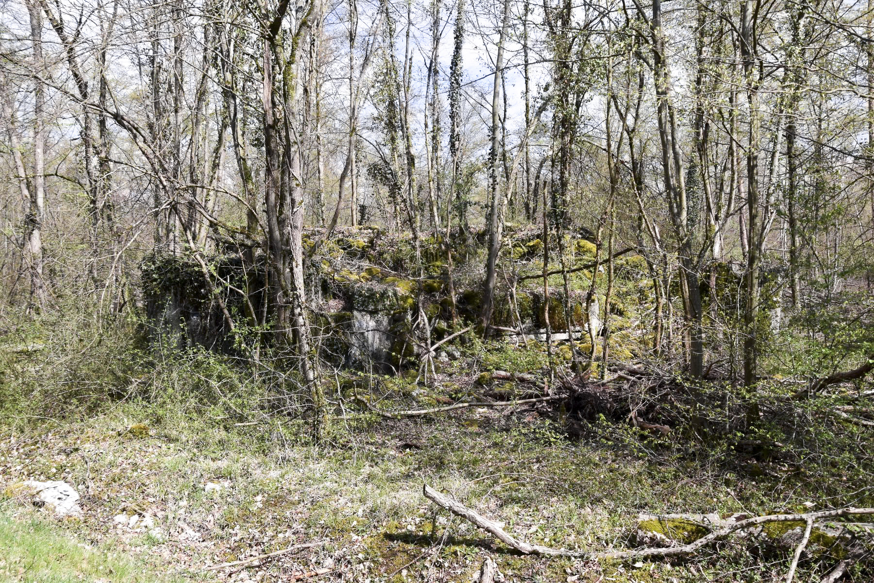 Ligne Maginot - CARREFOUR 218 EST - (Blockhaus pour canon) - Façade sud dans son ensemble