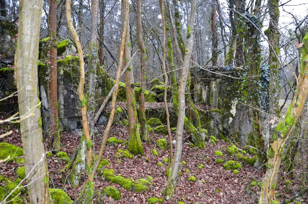 Ligne Maginot - CARREFOUR 218 EST - (Blockhaus pour canon) - Façade Nord avec les créneaux de tir