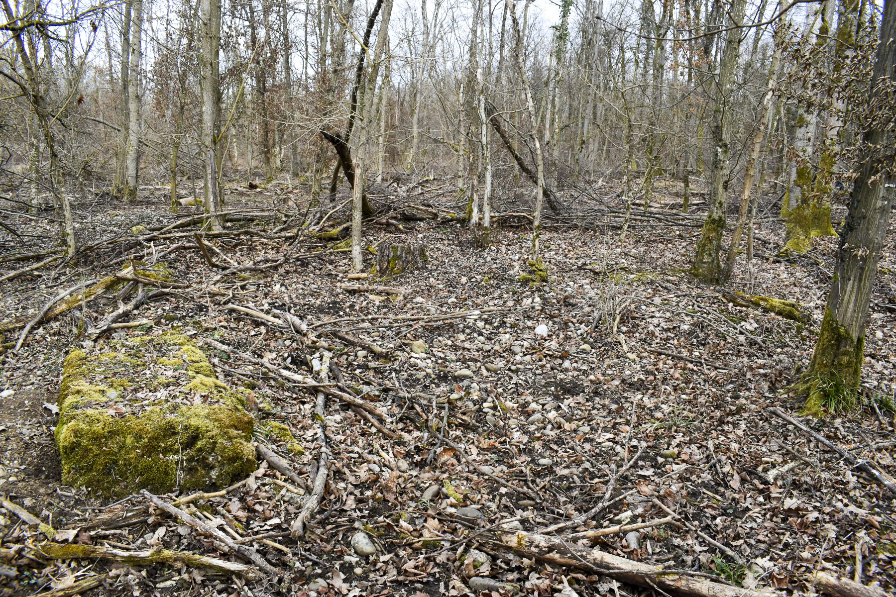 Ligne Maginot - EUSTACHE - (Position d'artillerie préparée) - Restant de la dalle de l'abri - Coté ouest