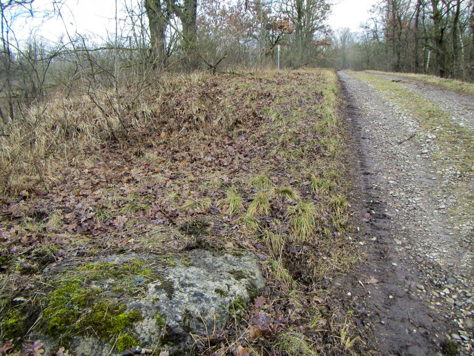 Ligne Maginot - OTTMARSHEIM - BERGE 3 - (Abri) - Abri sud au premier plan. Au pied du panneau, au fond, se trouve l'abri central avec son ouverture. Plus loin se trouve l'abri nord. Les trois sont parfaitment défilés au ras du sol.