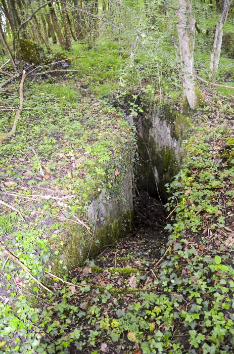 Ligne Maginot - OTTMARSHEIM NORD 1 - (Cuve pour arme d'infanterie) - Entrée en courbe coté sud