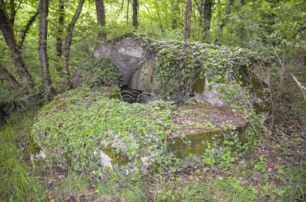 Ligne Maginot - OTTMARSHEIM NORD 2 - (Cuve pour arme d'infanterie) - Dessus de la coupole, détruite partiellement