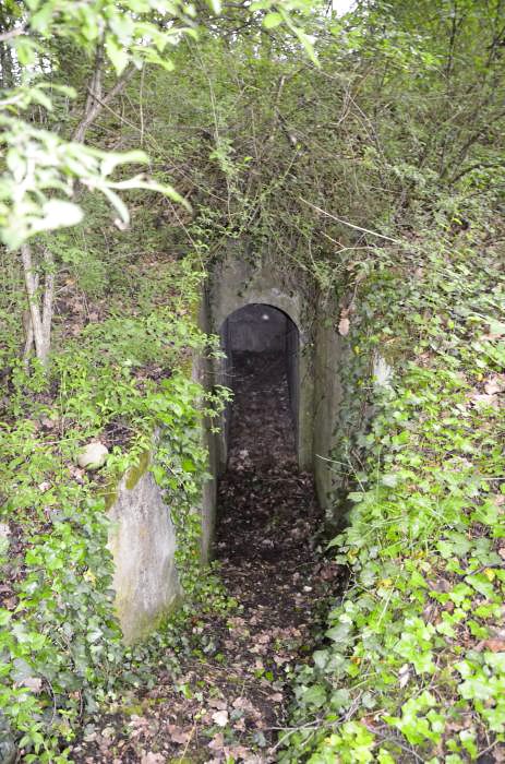 Ligne Maginot - OTTMARSHEIM NORD 3 - (Cuve pour arme d'infanterie) - Entrée et escalier