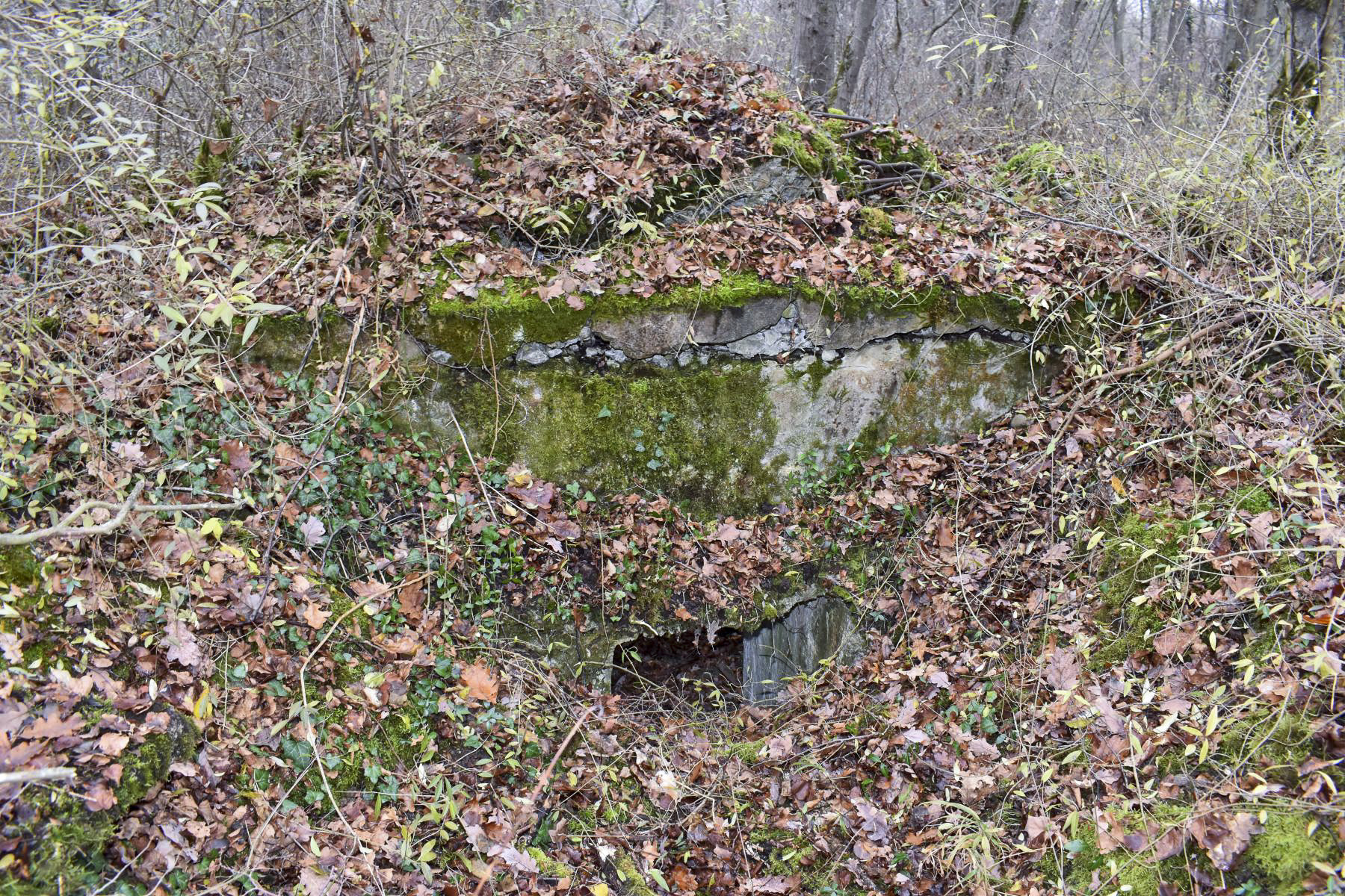 Ligne Maginot - OTTMARSHEIM SUD 4 - (Blockhaus pour arme infanterie) - L'entrée