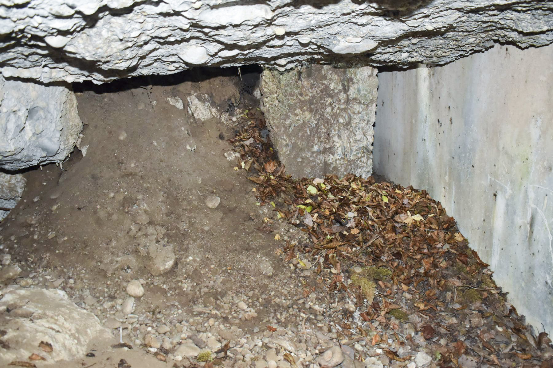 Ligne Maginot - OTTMARSHEIM SUD 5 - (Abri) - Intérieur de la pièce