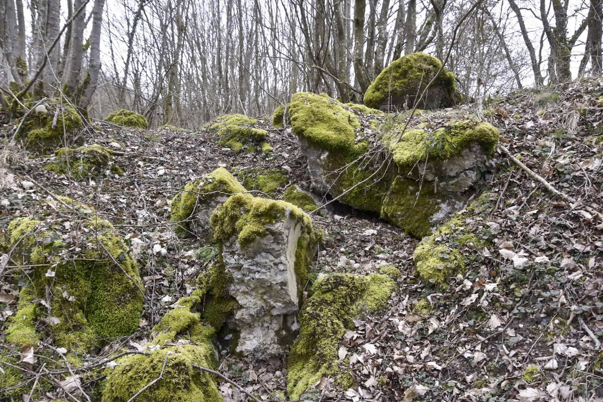 Ligne Maginot - PA DE BANTZENHEIM SUD 1 - (Cuve pour arme d'infanterie) - Vestiges.