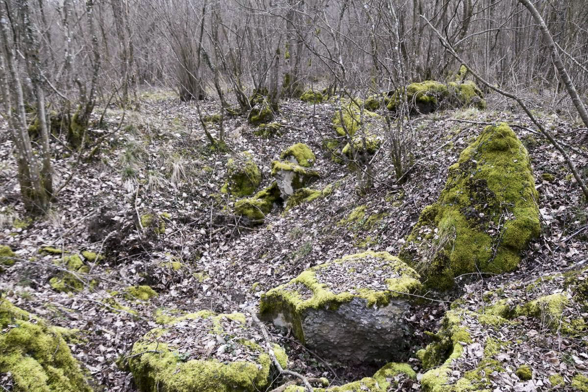 Ligne Maginot - PA DE BANTZENHEIM SUD 1 - (Cuve pour arme d'infanterie) - Vue sur le cratère. Au premier plan ce qui pourrait être les vestige de la coupole.