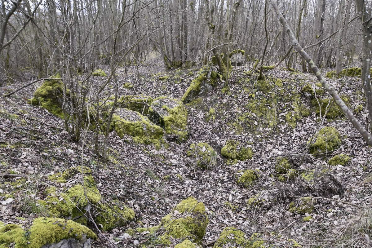 Ligne Maginot - PA DE BANTZENHEIM SUD 1 - (Cuve pour arme d'infanterie) - Vue sur le cratère.