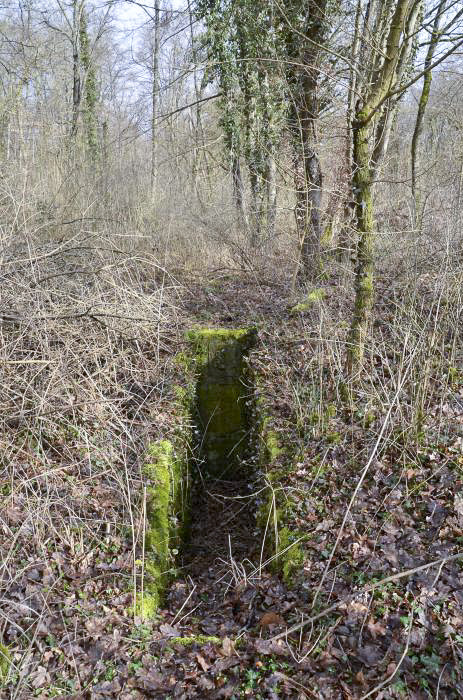 Ligne Maginot - RADBRUNNEN 1 - (Blockhaus pour arme infanterie) - Un dizaine de marches mènent au couloir. On aperçoit le blason au fond