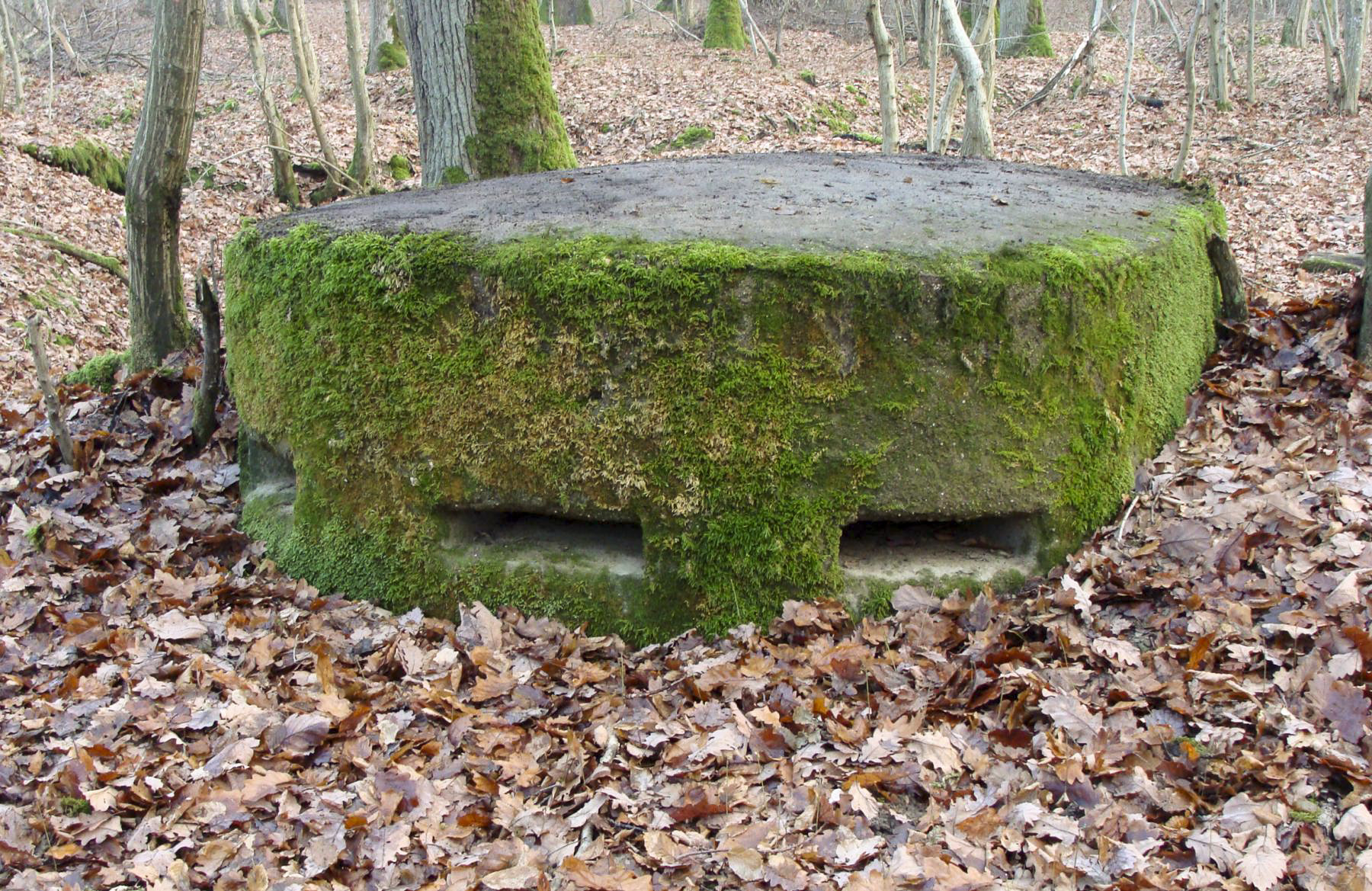 Ligne Maginot - Guérite escargot bétonnée - Située dans le bois de Cattenom, près de l'OBERHEID