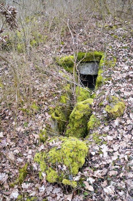 Ligne Maginot - RADBRUNNEN 4 - (Blockhaus pour arme infanterie) - Vue de l'entrée et des blocs de béton qui l'obstruent.