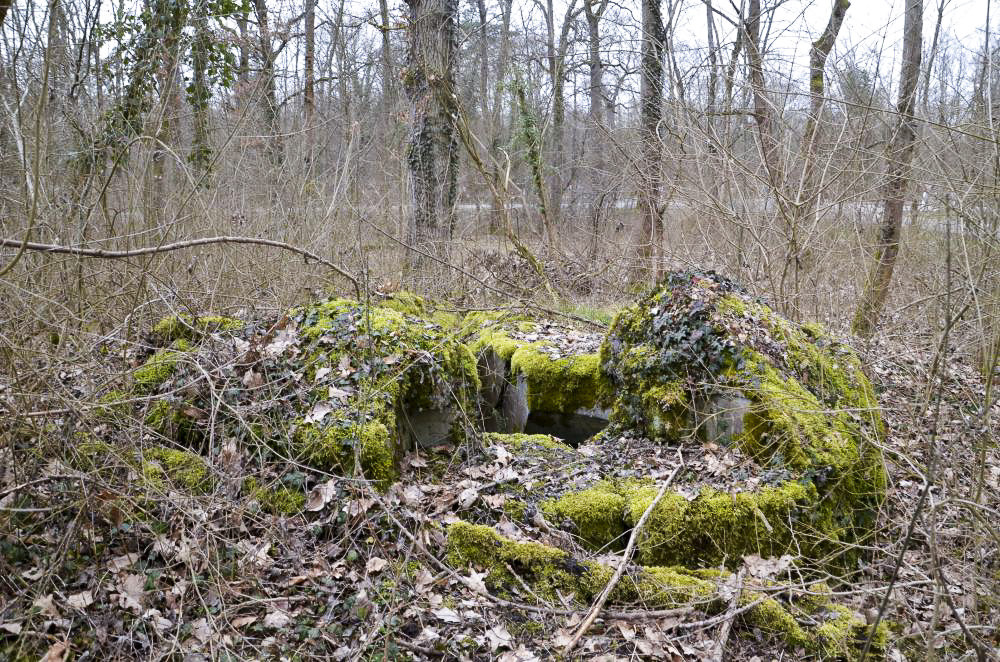 Ligne Maginot - RADBRUNNEN 4 - (Blockhaus pour arme infanterie) - 