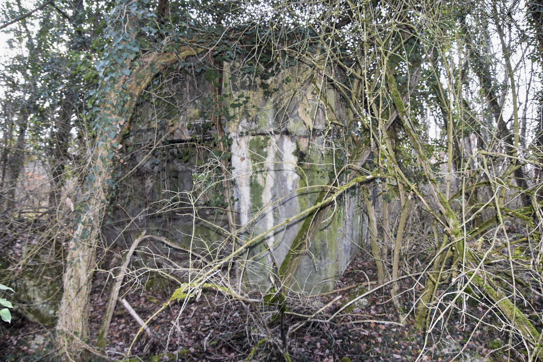 Ligne Maginot - WAELDELEZUG NORD - 2 - (Blockhaus de type indeterminé) - Coté Est avec créneau de tir