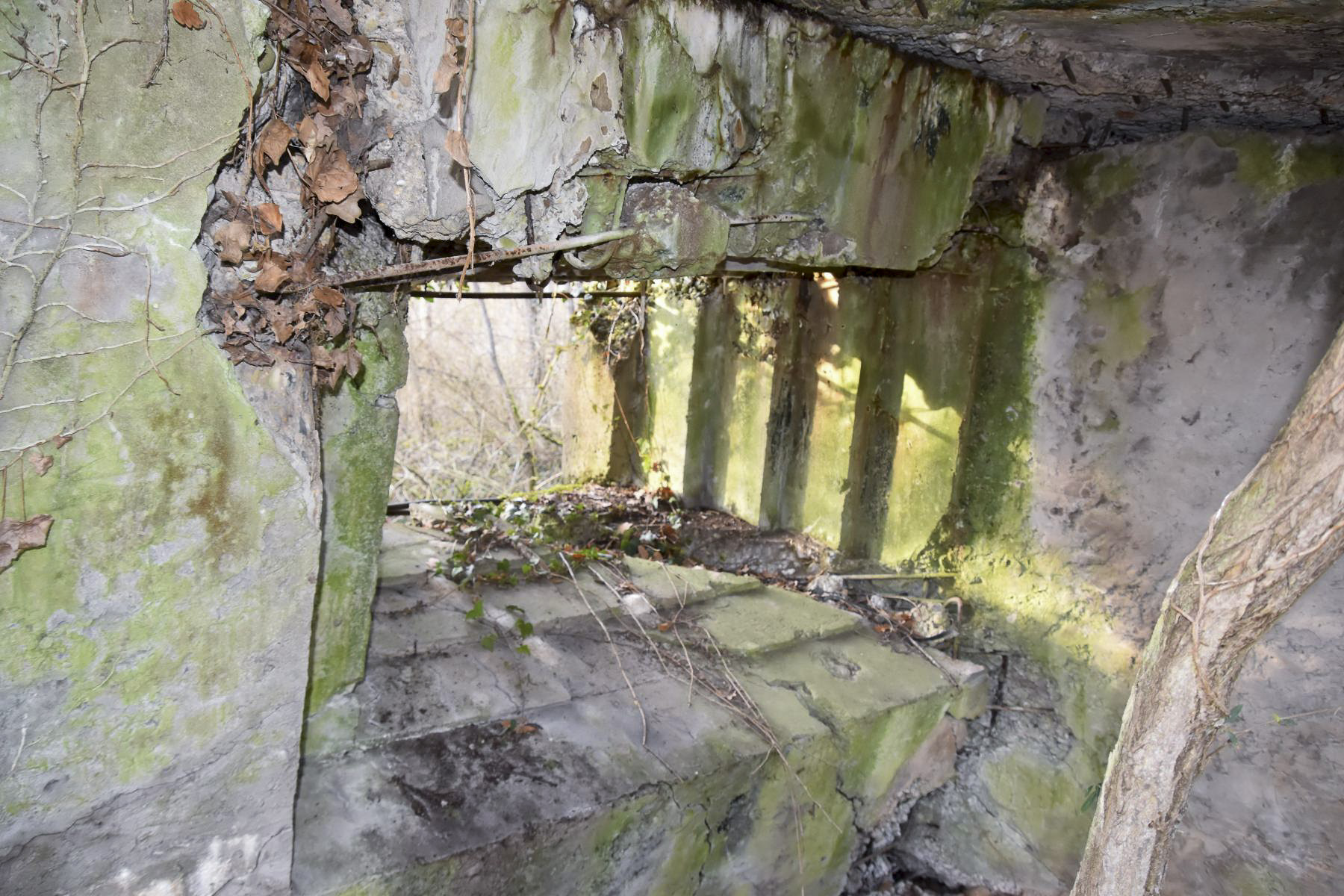 Ligne Maginot - WAELDELEZUG NORD - 2 - (Blockhaus de type indeterminé) - Créneau de tir