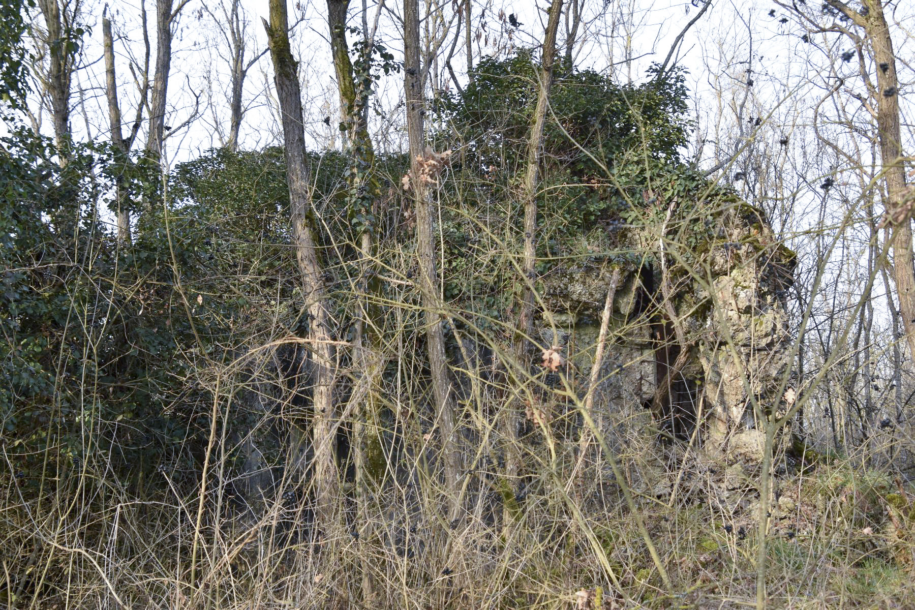 Ligne Maginot - WAELDELEZUG NORD 1 - (Blockhaus de type indéterminé) - Vue coté Sud