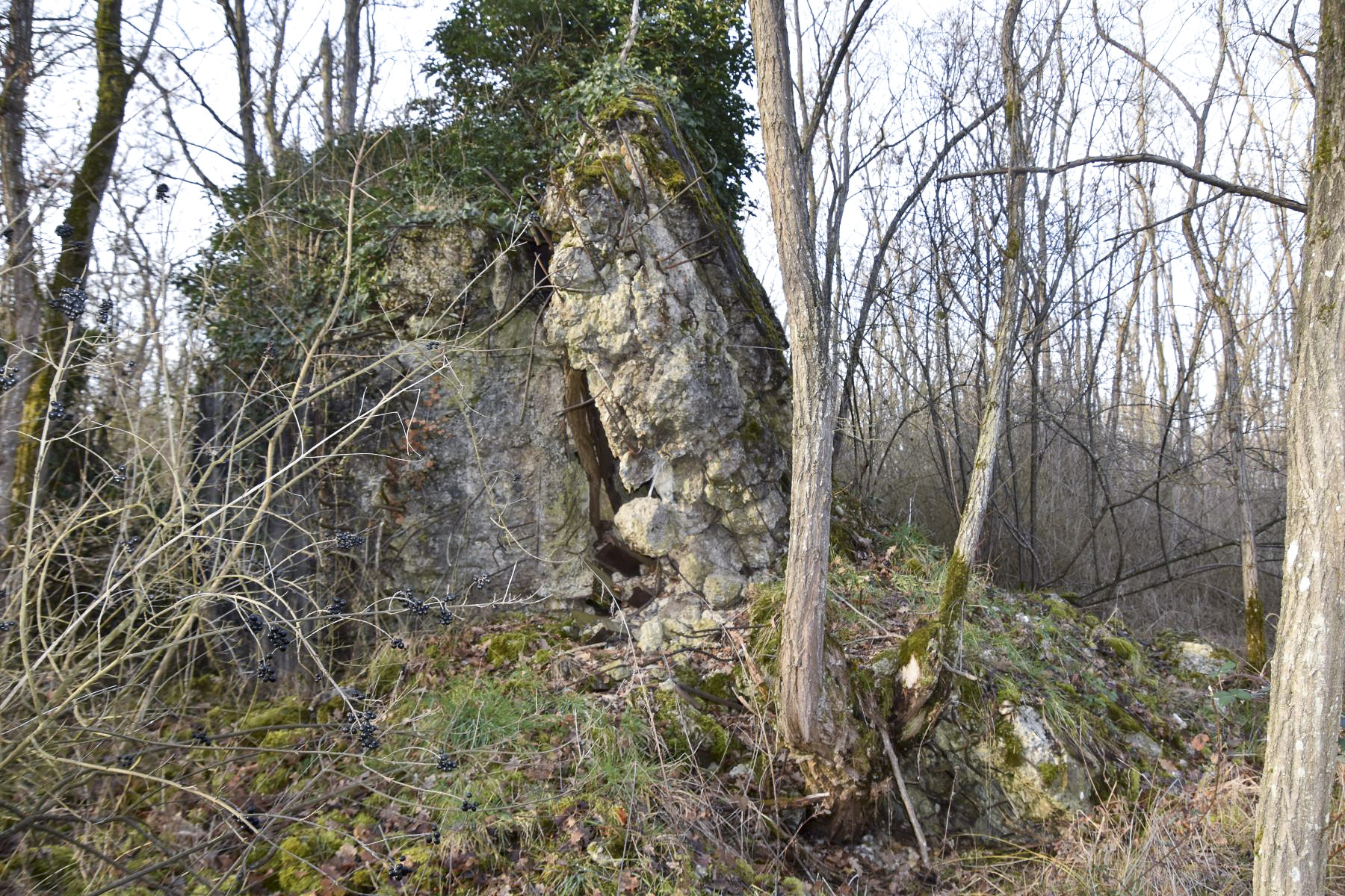 Ligne Maginot - WAELDELEZUG NORD 1 - (Blockhaus de type indéterminé) - Vue coté Est