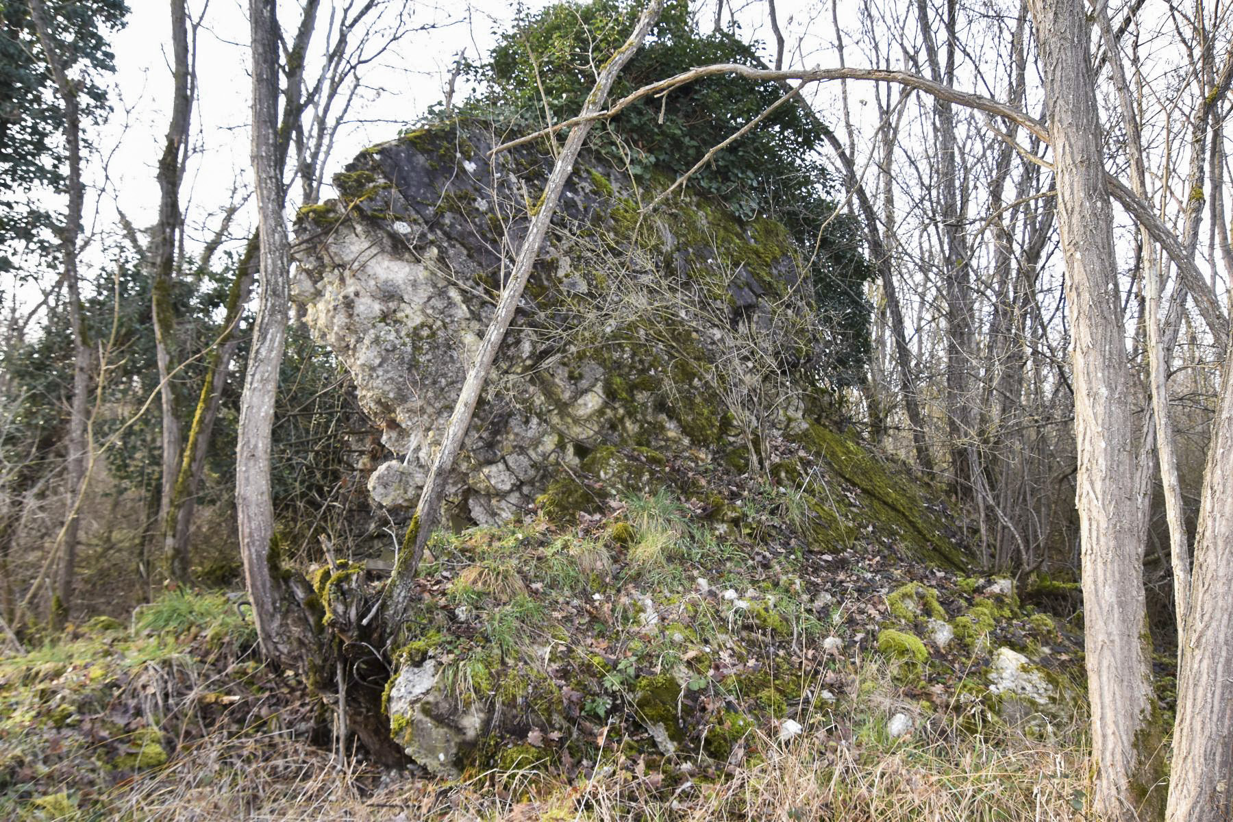 Ligne Maginot - WAELDELEZUG NORD 1 - (Blockhaus de type indéterminé) - Vue coté Est