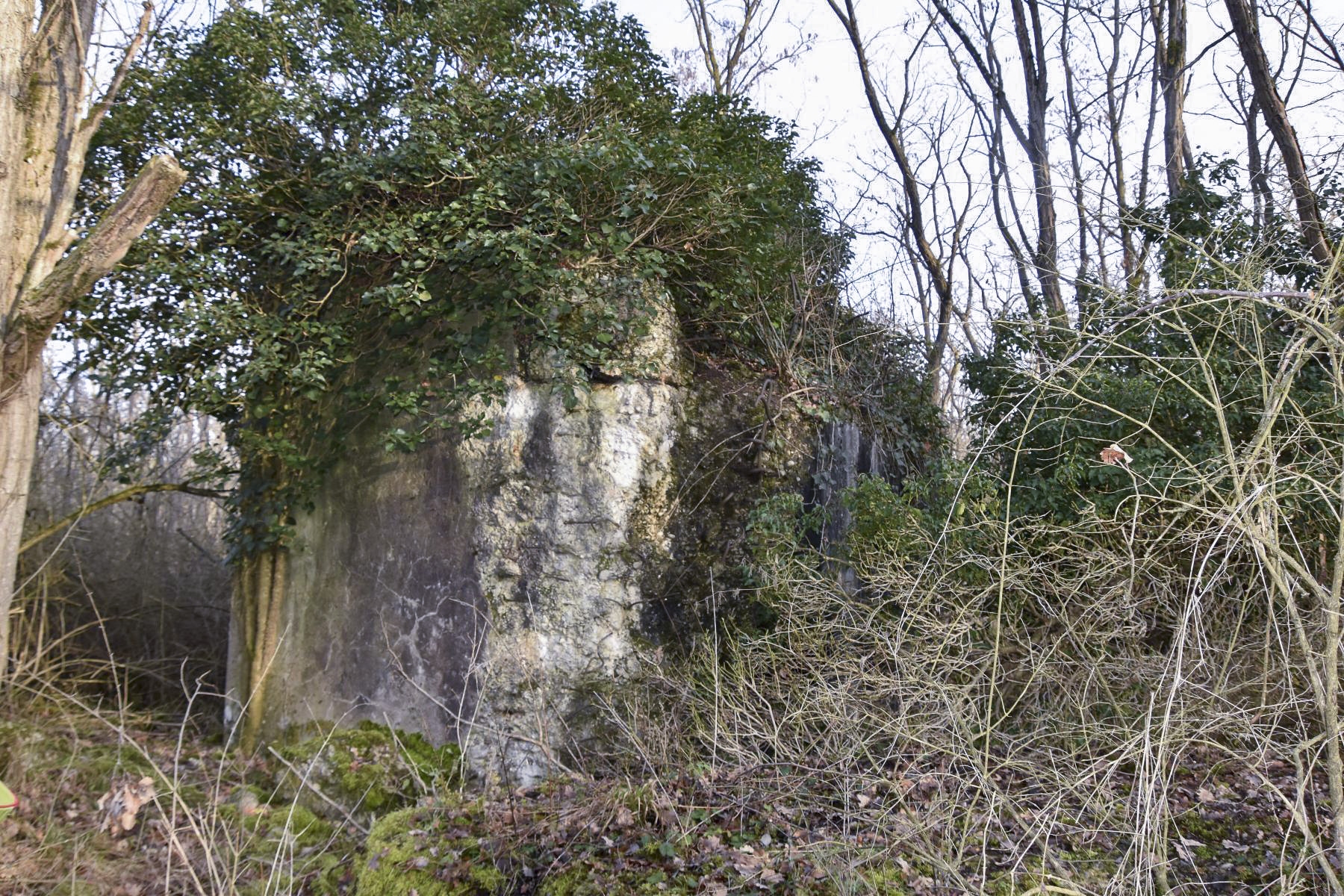 Ligne Maginot - WAELDELEZUG NORD 1 - (Blockhaus de type indéterminé) - Vue coté Ouest