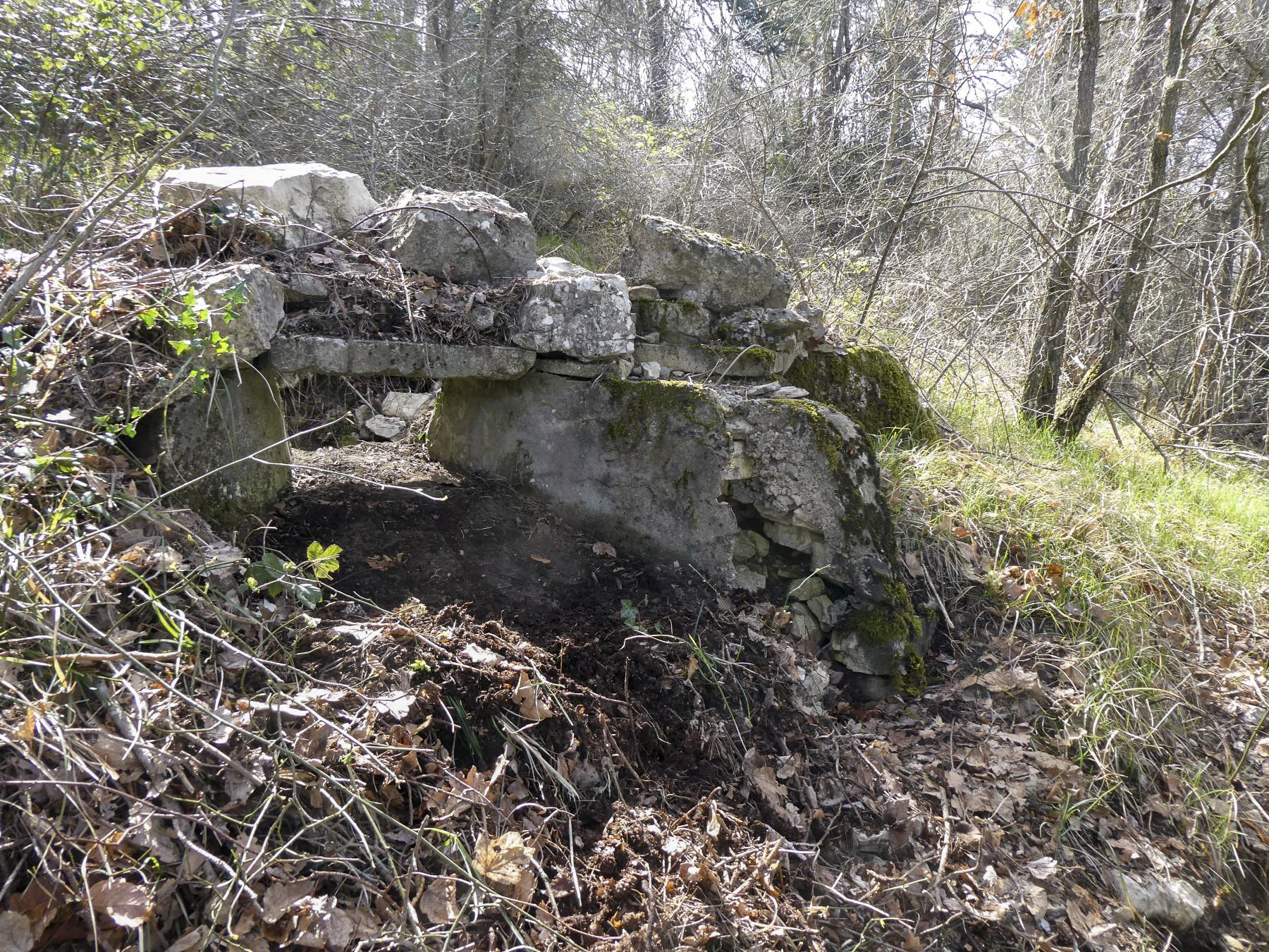 Ligne Maginot - FARGUET - (Blockhaus pour arme infanterie) - 