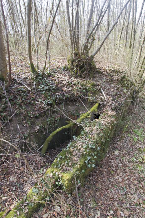 Ligne Maginot - ABRI FAIVRE - (Blockhaus pour arme infanterie) - Entrée gauche de l'abri