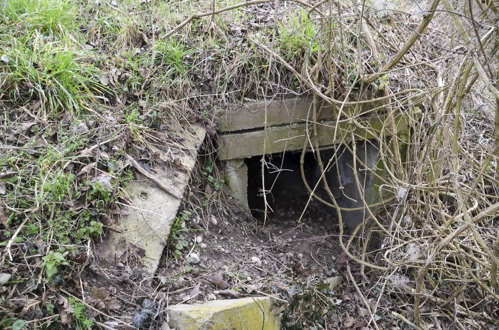 Ligne Maginot - BRIGGMATTEN 2 - (Observatoire d'infanterie) - Vue sur l'entrée