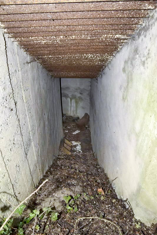 Ligne Maginot - GEISSMATTEN 1 - (Abri) - Escalier vue descendante