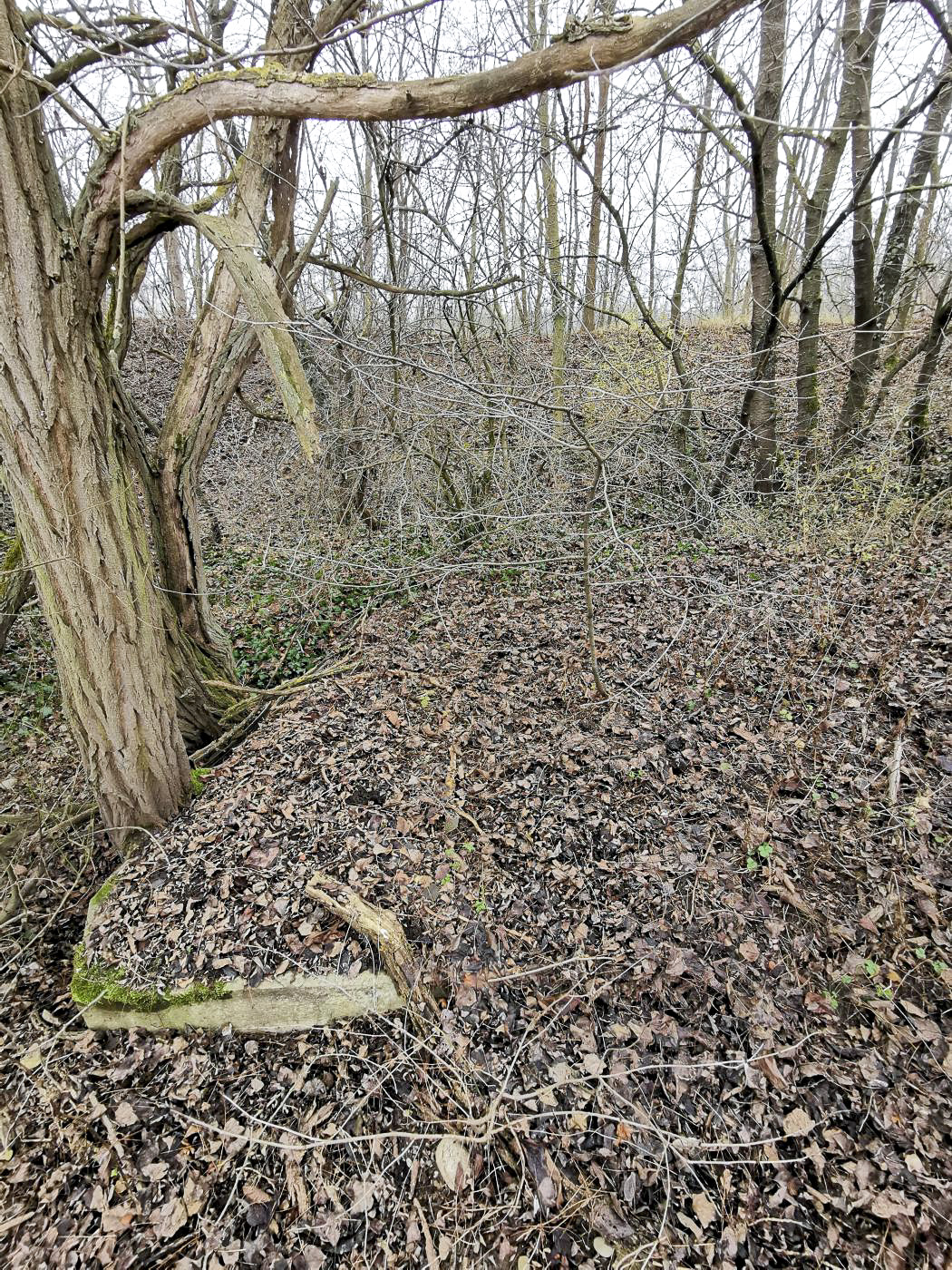 Ligne Maginot - KEMBS NORD 8 - (Blockhaus pour arme infanterie) - Complètement enseveli, on ne voit que le haut du côté droit (vers Kembs). 