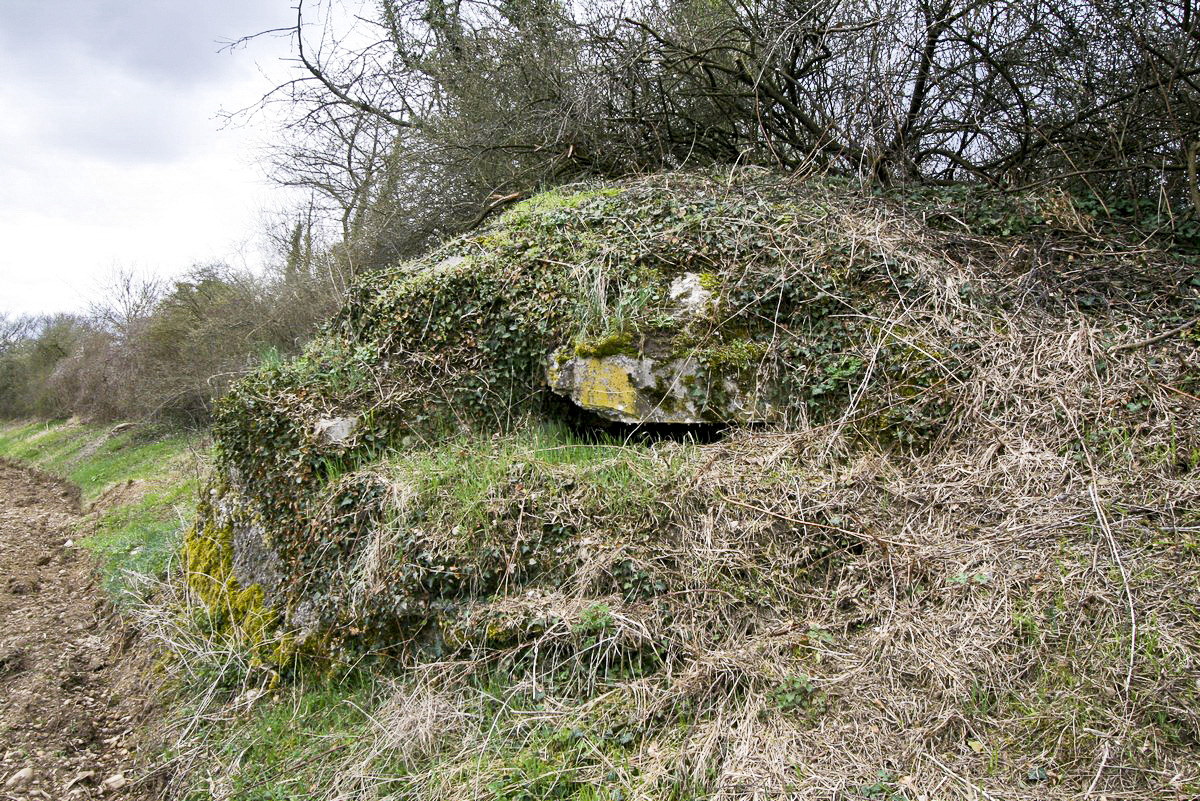 Ligne Maginot - LANGE AECKER 2 - (Blockhaus pour arme infanterie) - Coupole Nord