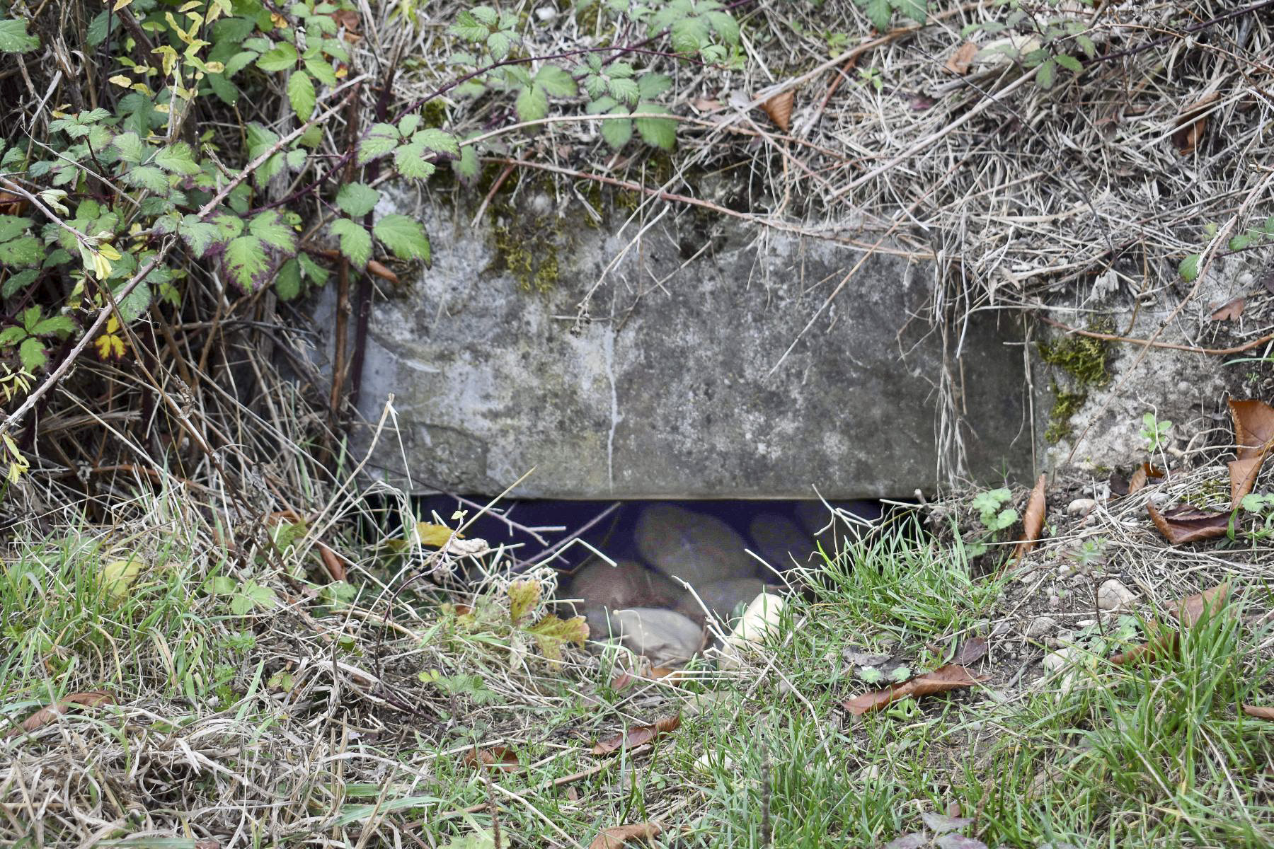 Ligne Maginot - LANGE AECKER 2 - (Blockhaus pour arme infanterie) - Entrée ouest du souterrain passant sous le talus de l'ancien chemin de fer