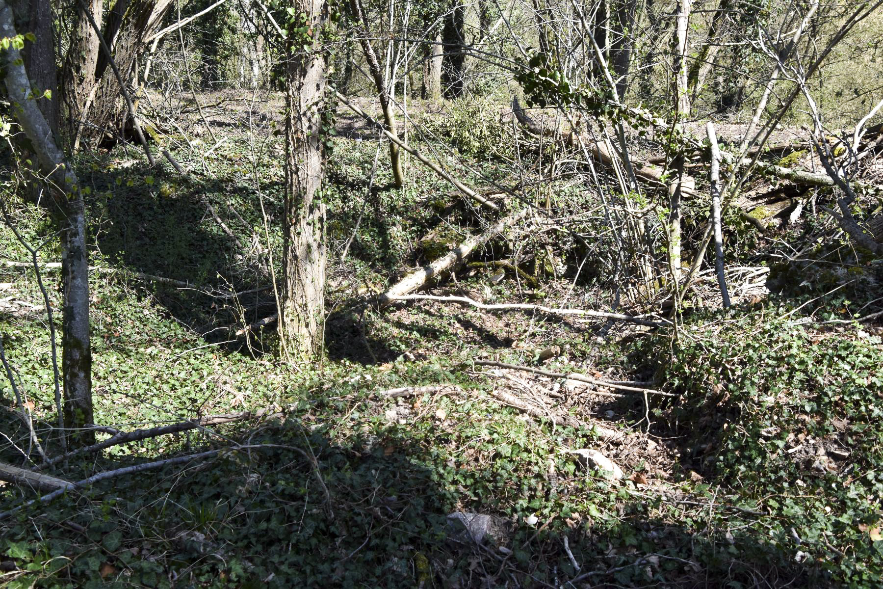 Ligne Maginot - OBERKOEPFLEIN 1 - (Abri) - Vue de l'abri