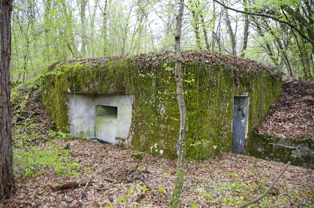 Ligne Maginot - PA DU CARREFOUR 243-2 - (Blockhaus pour arme infanterie) - 