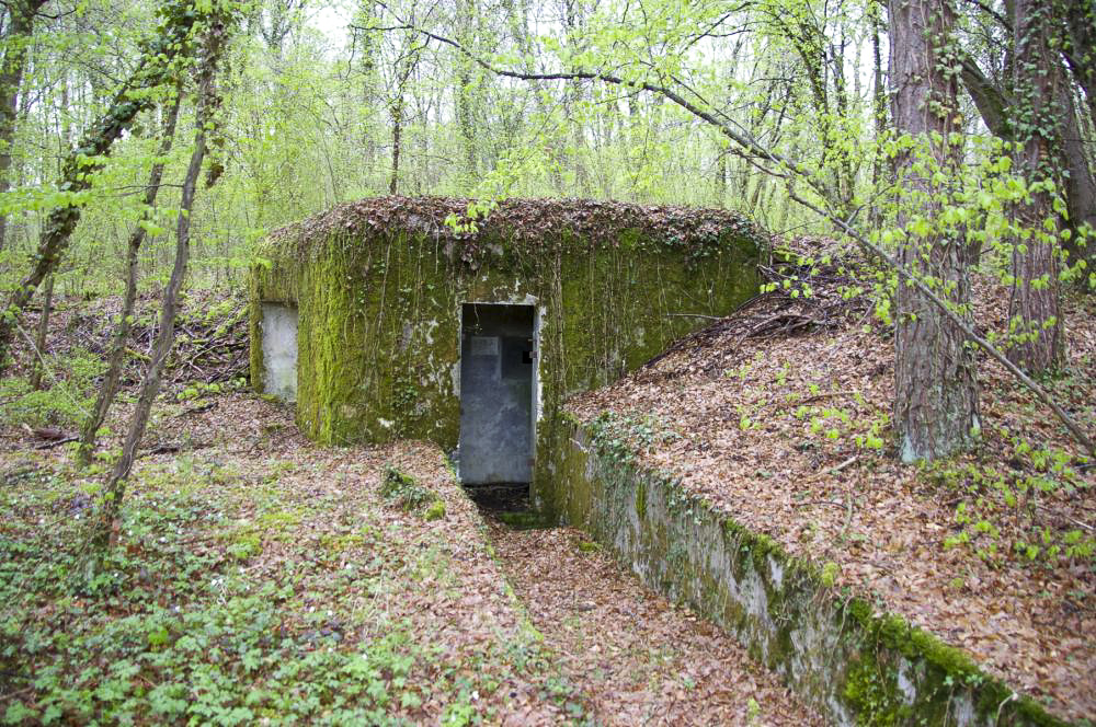 Ligne Maginot - PA DU CARREFOUR 243-2 - (Blockhaus pour arme infanterie) - Intérieur en assez bon état. On y accède par une belle tranchée bétonnée