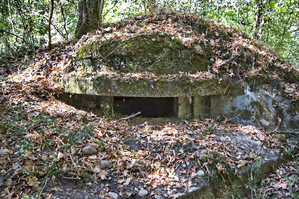 Ligne Maginot - PA KEMBS SUD 3 - (Blockhaus pour arme infanterie) - Coupole